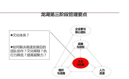 龍湖集團 精細化管理鑄就卓越運營與穩(wěn)健成長